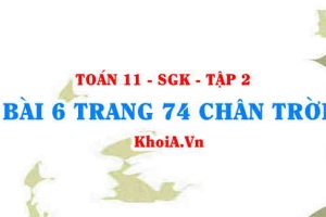 Bài 6 trang 74 Toán 11 Tập 2 Chân trời sáng tạo